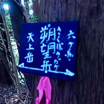 ピークゲットのためにひたすら六ヶ岳をぐるっと巻きます。
四葉のクローバーみたいに　3度近づいて　4度目で六ヶ岳に登るイメージ。
🩶