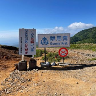 SNSで良く見かけます