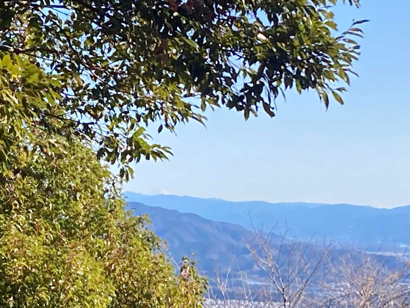 真っ白な富士山見えました
