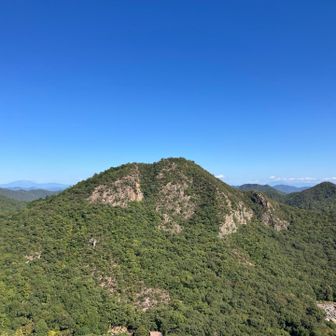 下山途中に鷹巣山👀