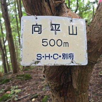 まあまあの激登りでした😅
オカリナ吹きました🎵