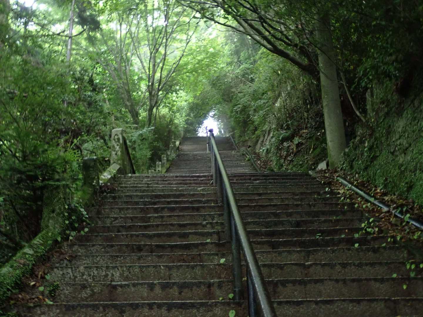 摩耶ケーブル下バス停 周回コースの写真