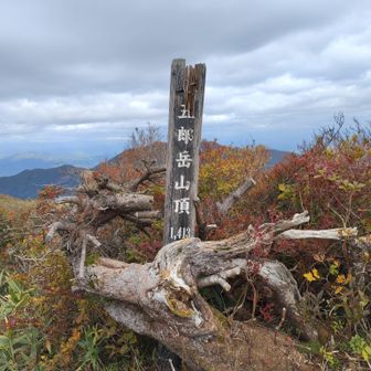 残念ながらガスが濃くてあまり景色見えず。後の地蔵岳などで晴れ確実ならここは来なくていいでしょう