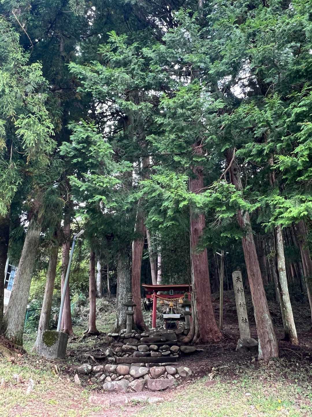 天神神社登山口-女夫山-松本峠-城山-先谷登山口 縦走コースの写真