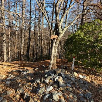 本仁田山山頂。奥多摩駅から1時間半で登ってきた