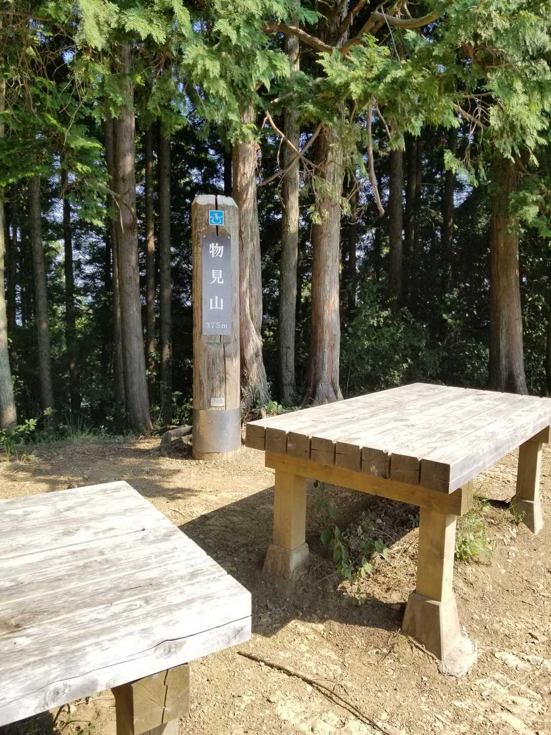 物見山の山頂に到着！

物見山⛰
標高375m