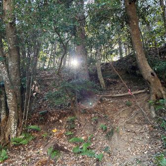 素敵👍
次はここから登って行きます。
進行方向が光輝いています💡