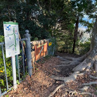 奥に賎機山への入り口
ここから、本格的な登山道