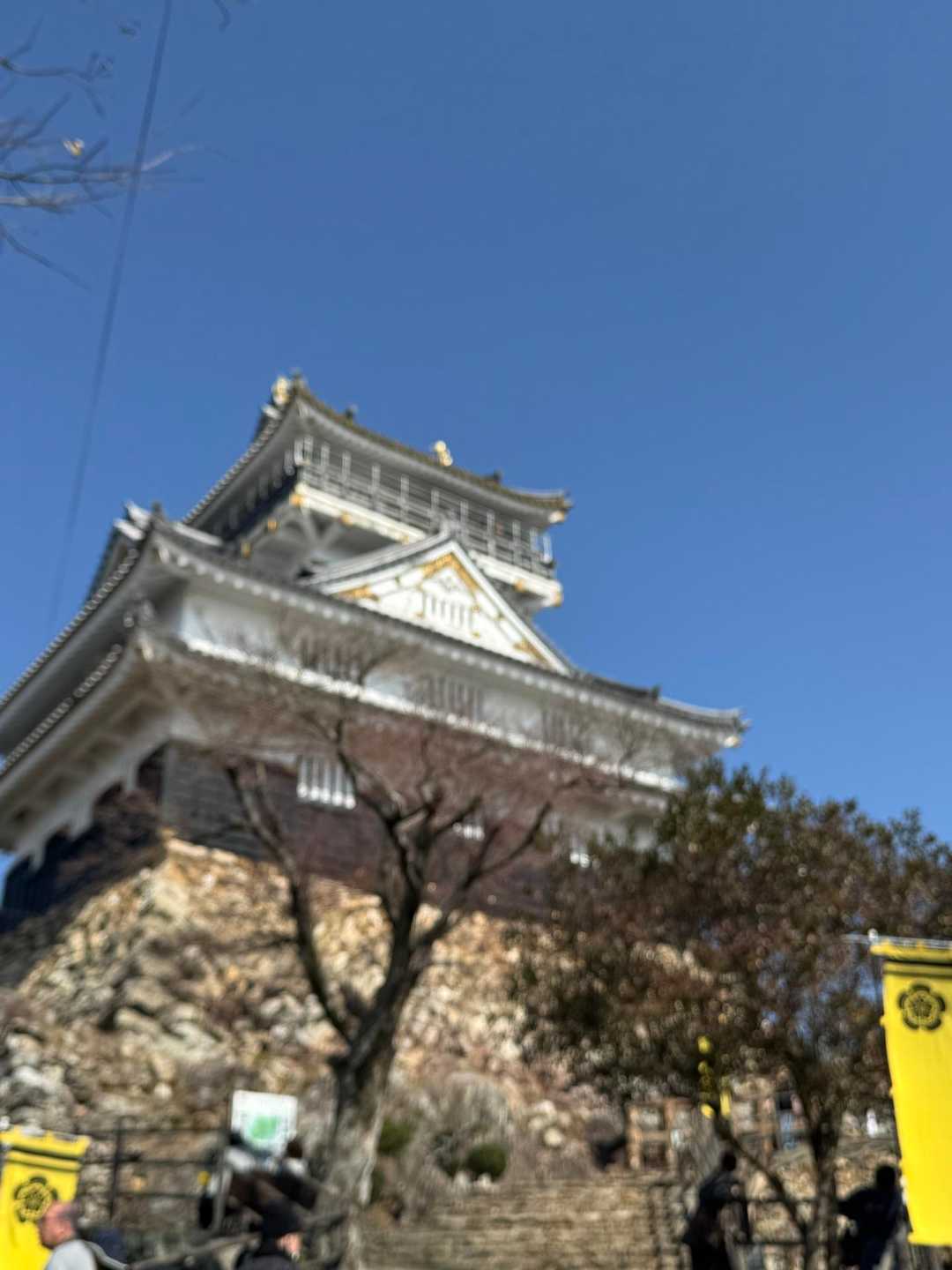 金華山 / snow＊さんの金華山・洞山・舟伏山の活動データ | YAMAP