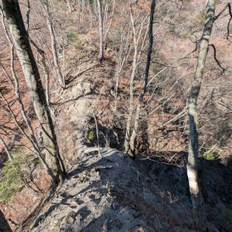 激下りの先にはなくなりそうな痩せ尾根。