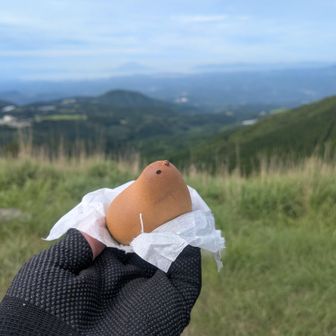 じゃーん。今日のおやつはひよ子であります。
隣のスーパーで売ってました。
ひよ子は頭から？お尻から？
私はじわじわと歯で皮を剥いてから。（少数派？）