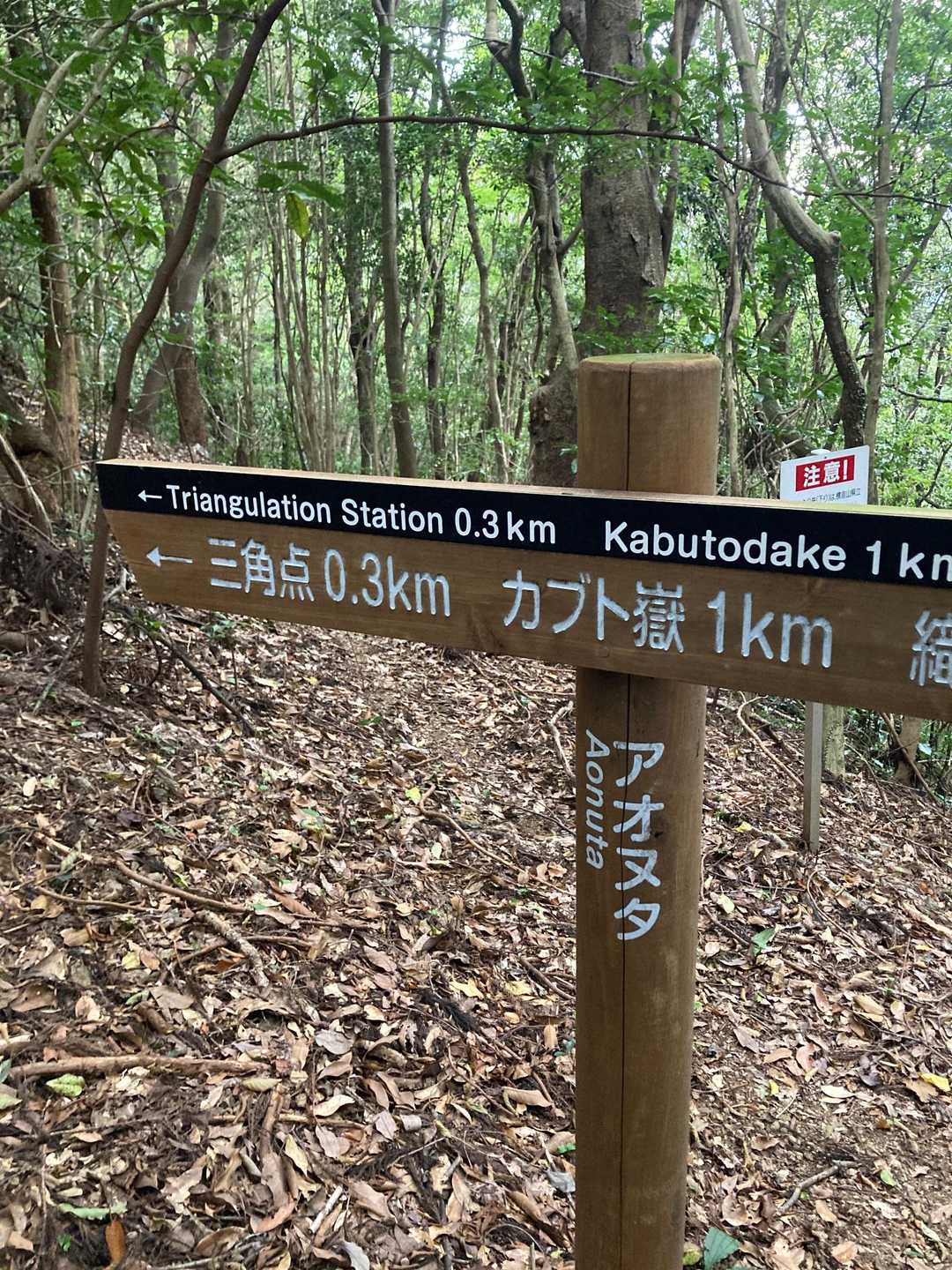 横倉山 周回コースの写真