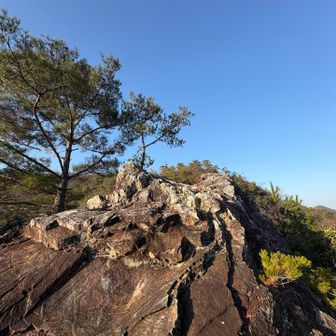 お立ち岩で朝ごはん
