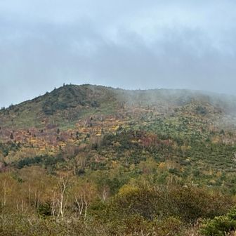 山頂を見上げると紅葉が見られます