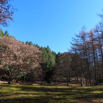 縦走路に出て約10分でウノタワ到着
登山口から約2.8km，1時間40分でした。近いし早いけど、結局キツかった。
