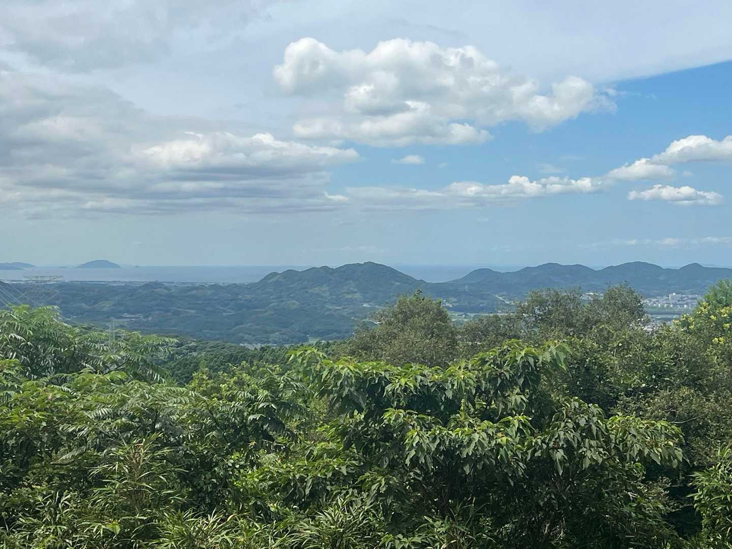 権現山 周回コースの写真