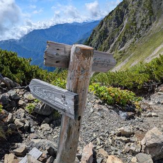 赤石小屋との分岐
椹島から赤石直登ルートとの合流地点