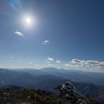 日光ファミリー