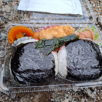 宿で作ってもらった朝食弁当
梅干しおにぎり