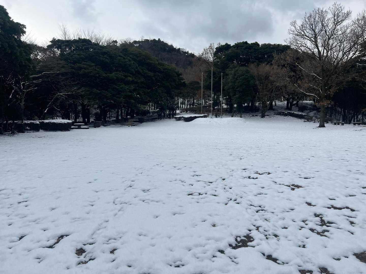 駐車場まで全然雪なかったのに真っ白