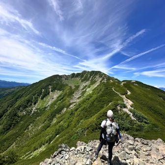 ✴︎たかこ✴︎