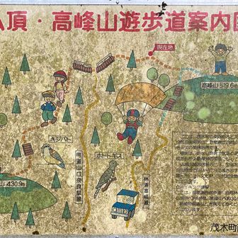 仏頂・高峰山遊歩道案内図

ここは、茂木町の南端栃木と茨城の県境で
北側は益子県立自然公園
南側は笠間県立自然公園に指定されており、
本町きっての美林地帯です。
植生は、かなり特異で気温の逆転層もあって
温暖帯林も形成され希少動植物の
宝庫になっています。
仏頂山麓の楞厳寺には、国指定の天然記念物
ヒメハルゼミの生息地で6月から7月に鳴き出す様は壮観です。また高峰山麓一帯には、
文化財、天然記念物等豊かな自然と文化
にあふれています。

★ハイキング情報
ここは、首都圏自然歩道「自然林を歩く道』との合流点で、仏頂山へ約1時間、高峰山へ約30分です。
動植物図鑑などを携えて歩くと、
さらに充実したハイキングになります。

茂木町商工観光課