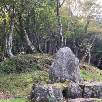ここに下りて来ます