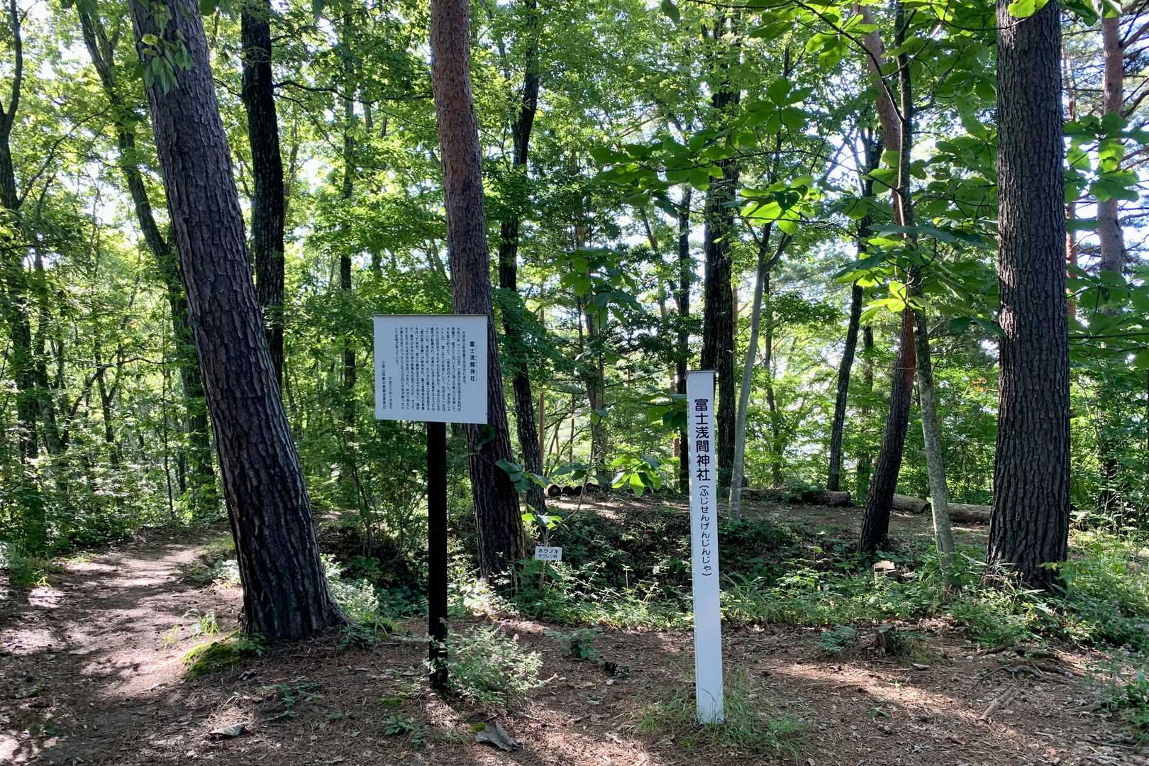 ここは富士浅間神社⛩