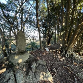 スイセンピークの登りはめっちゃ急できつい😂