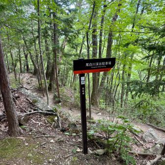 林道から登山道へ