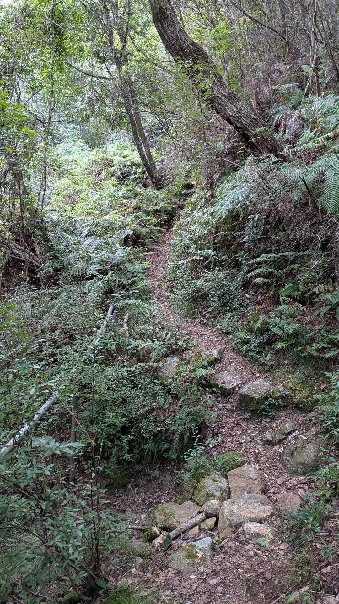 登山開始は、普通の登山道
