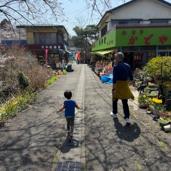 次はどこ行くのかなぁ〜⁉️