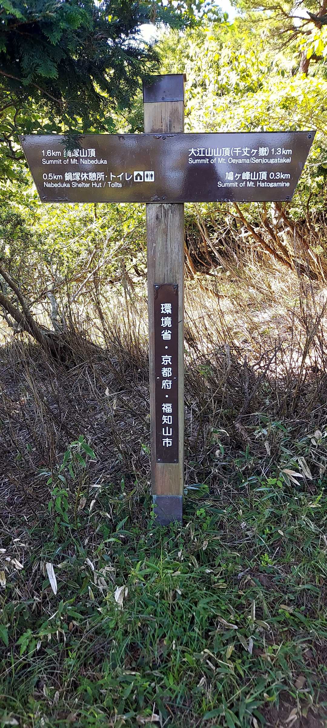 ここは良き山やと思う❤歩きやすい🤩