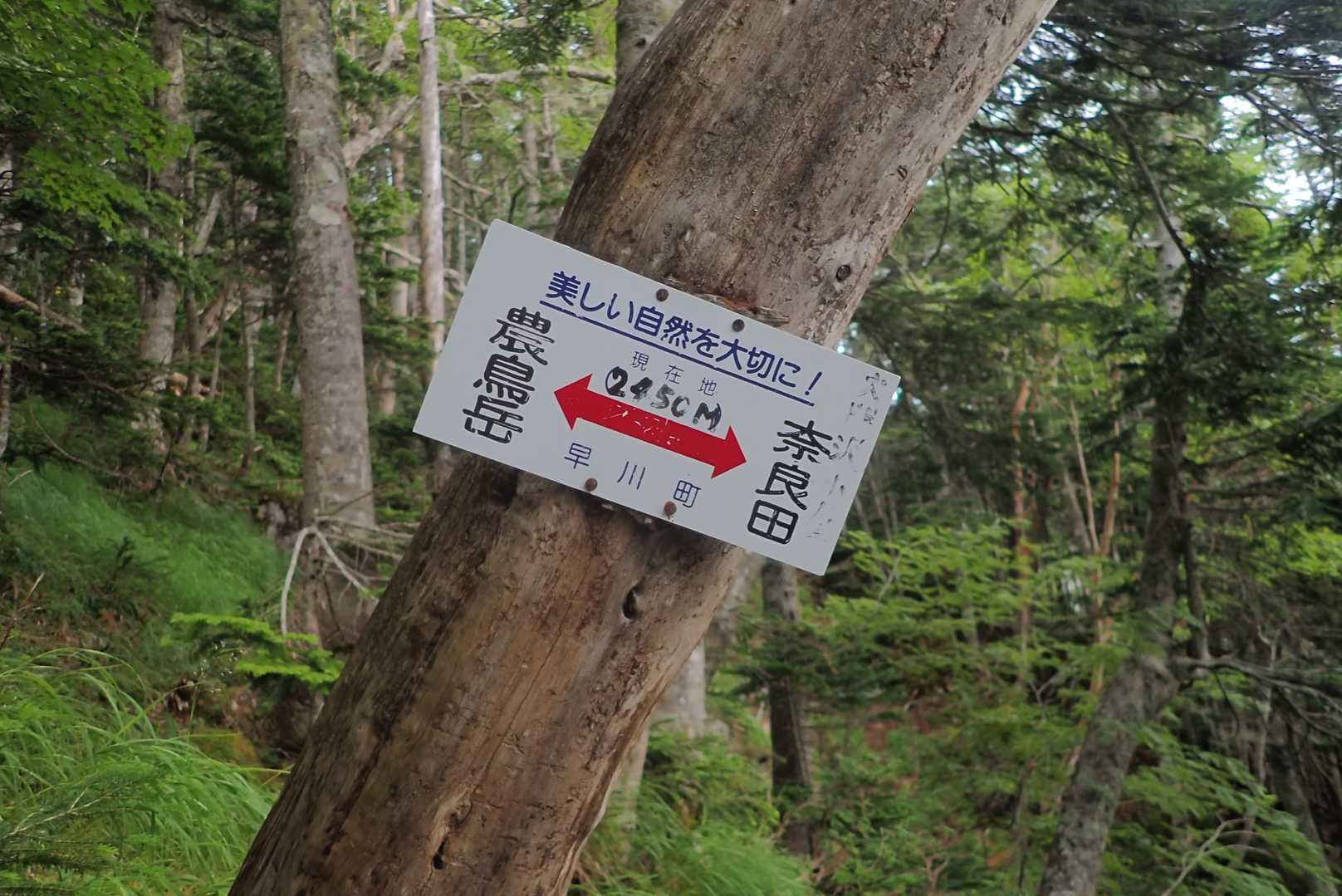 標高見て、びっくり。かなり降りたつもりだよー。