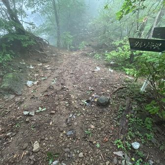 タルノキ沢との分岐点を相馬岳に向かいます
