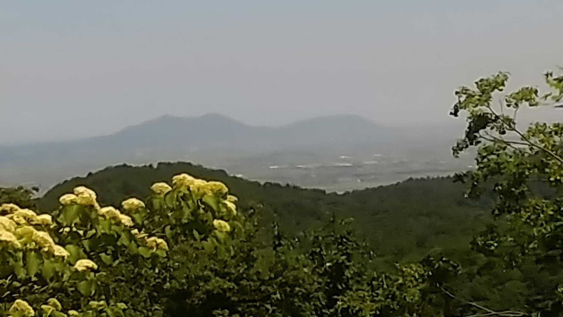 今日 の景色はこんな感じ～☺️