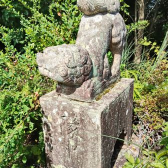 狛犬さん