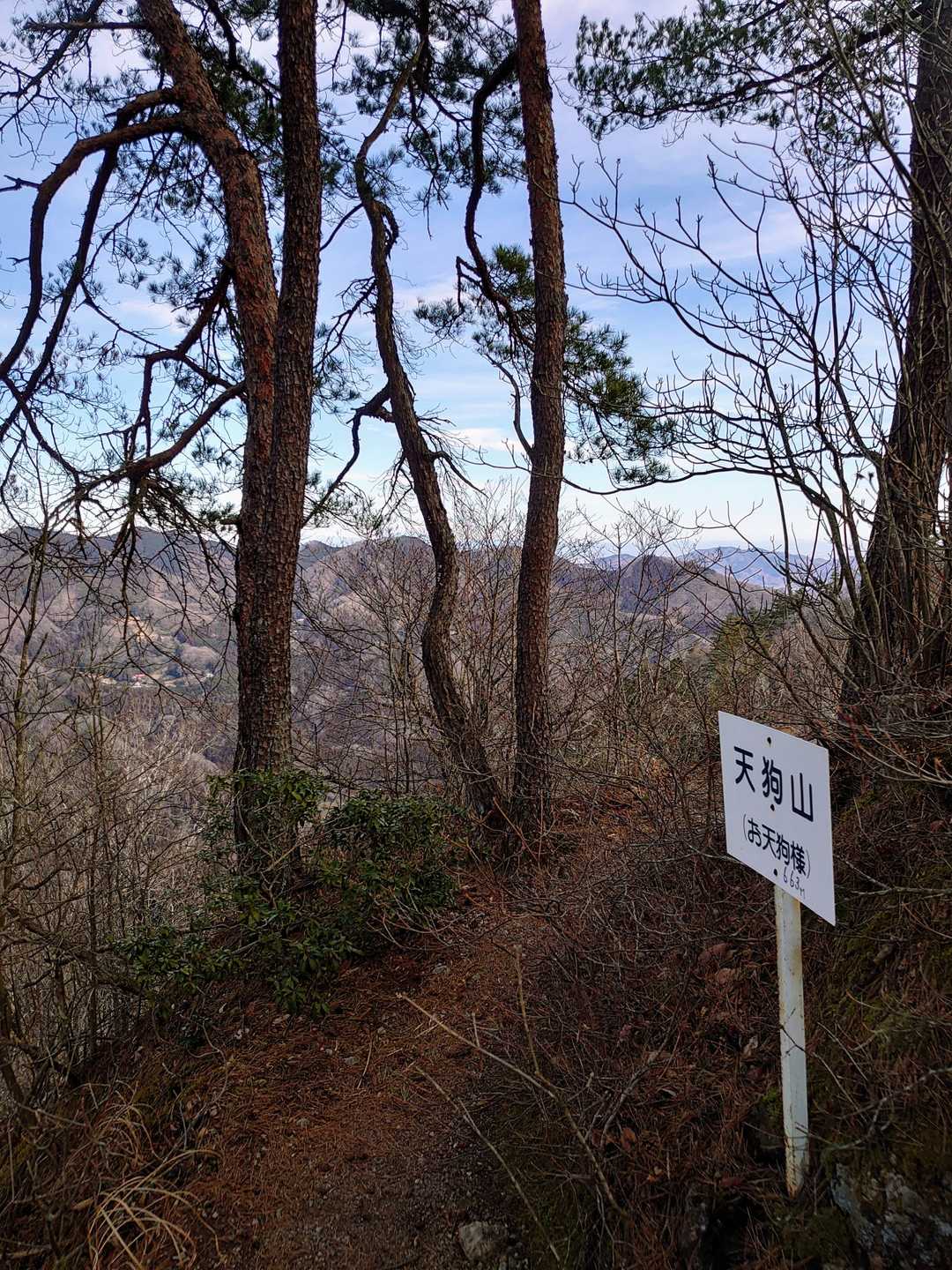 天狗山山頂👺