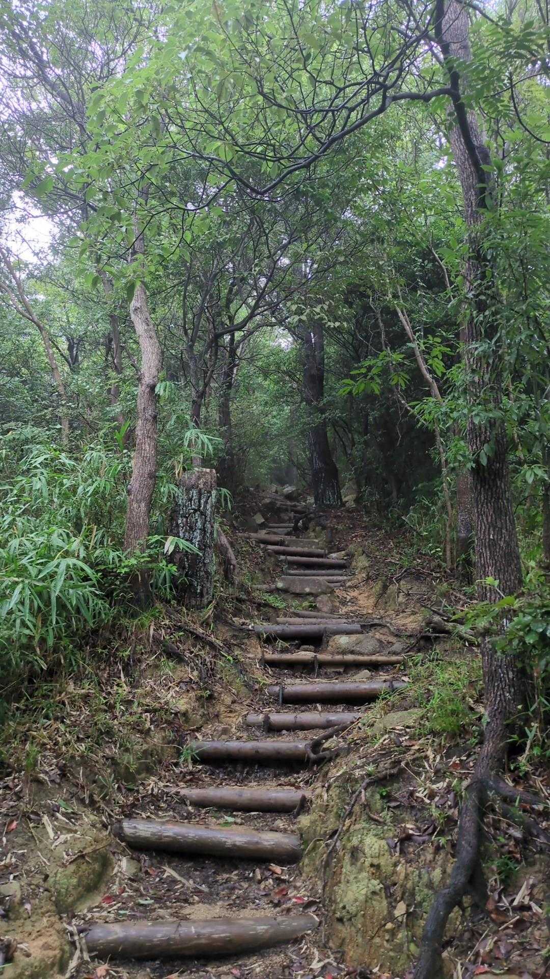 少しガスってきた？