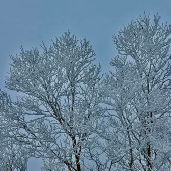 ☀️ｻﾝ隠れちゃって。
