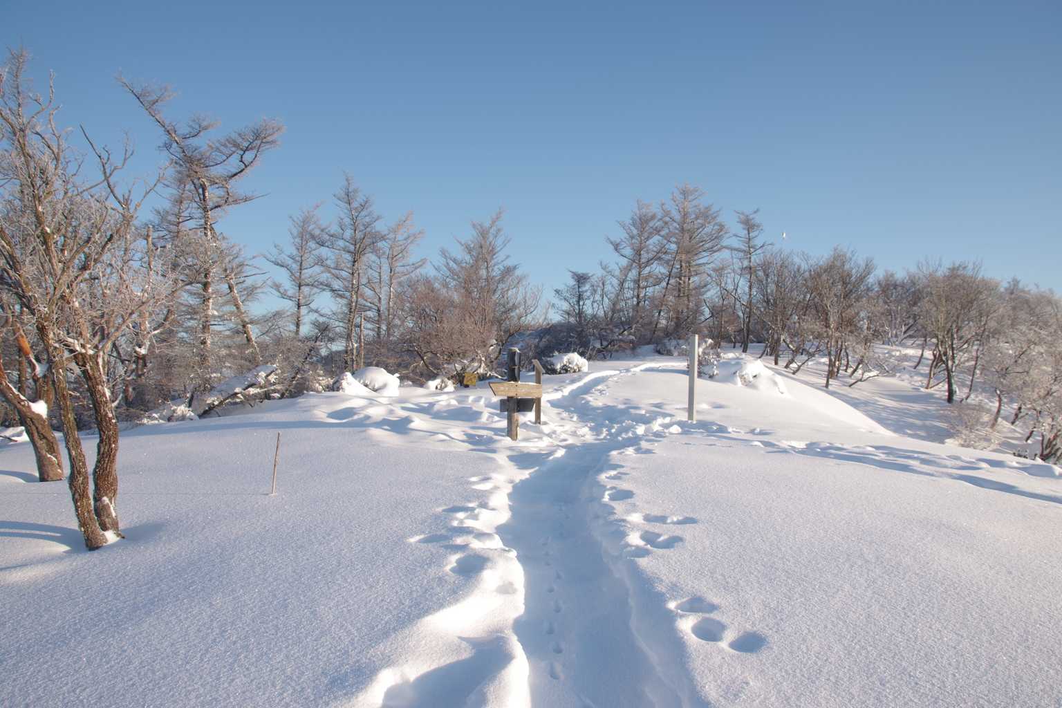 権現山に着きました。