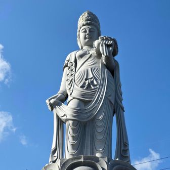 青空に映えて素敵✨️不浄な心が洗われる.. 🥰