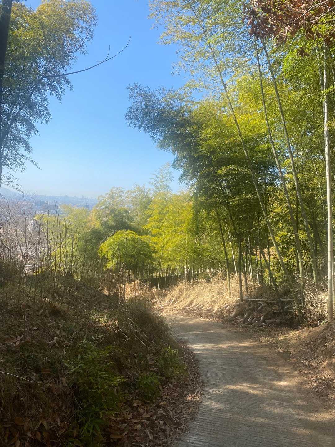 歩きやすい道