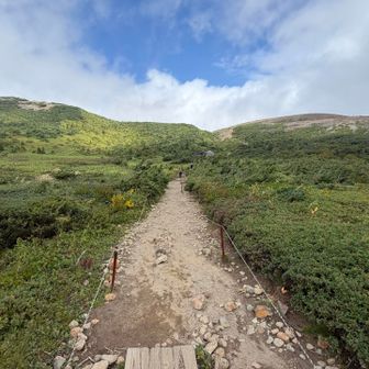 誰でも行けそうなハイキング道です