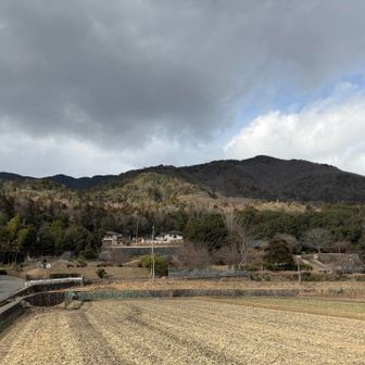 今日はサポーターもテーピングもしなかったけど、膝痛くならなかったので、上手に歩けたんだと思います😄