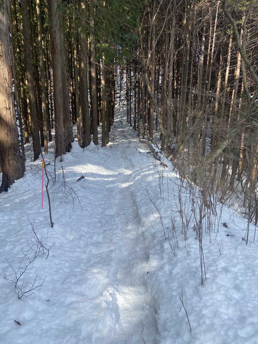 時にはこんな場所も！　東京にいながら雪山気分で最高です。見ての通り踏み跡もバッチリ。
月曜に降ったのに、結構人が通ったんですねー
