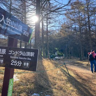 ここからは一気に山頂を目指します！