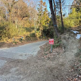 あきば峠（青木葉峠）林道を越えて向こう側の稜線へ