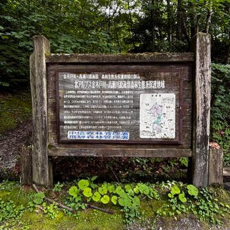 無事、登山口まで帰ってきました⛰️
途中にヘビいた😱