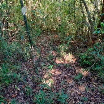 こちらは鳥羽上山方面
行くもんじゃないと一目でわかる😨